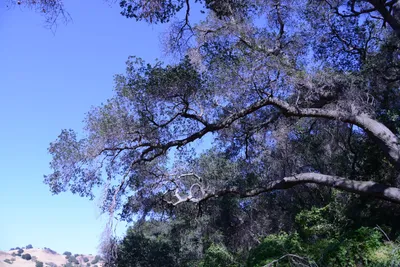 DSC_2041 (Large).JPG